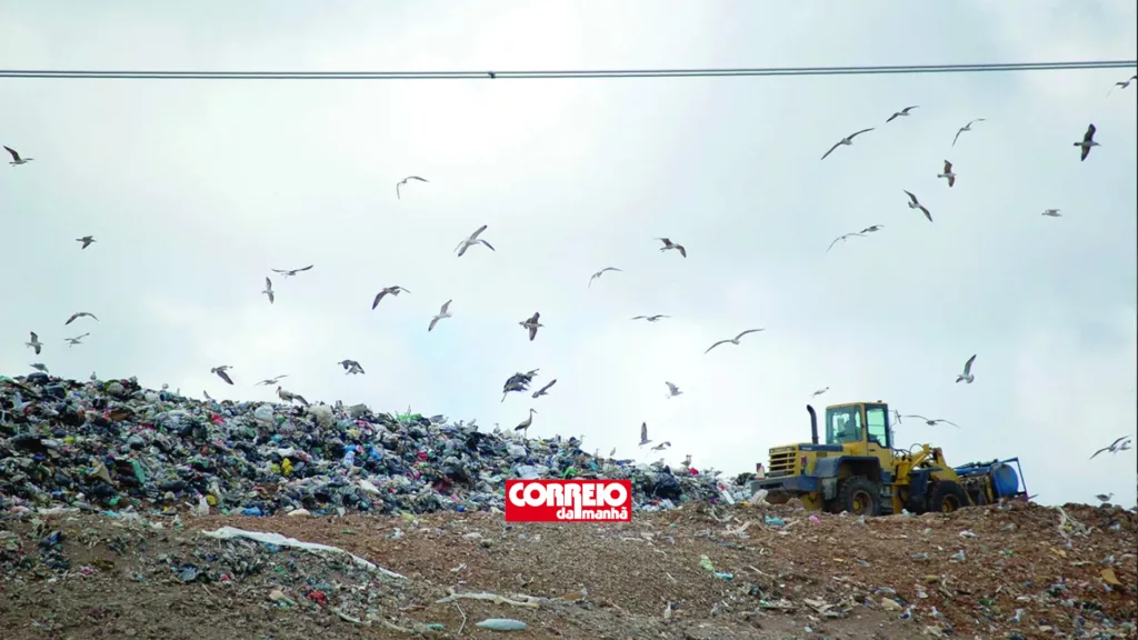 Três milhões de toneladas de resíduos acabam em aterros todos os anos